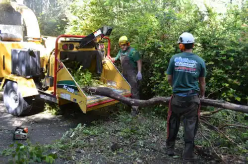 tree services Overland Park